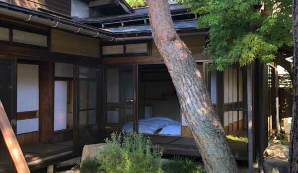 【草の庭】新緑が美しいお庭