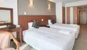 【ホテルタイプ】ツインルーム