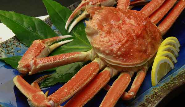 ◆【別注料理・ズワイガニ】地物のズワイガニは味が濃く、身がたっぷり詰まっています！ぜひご賞味ください
