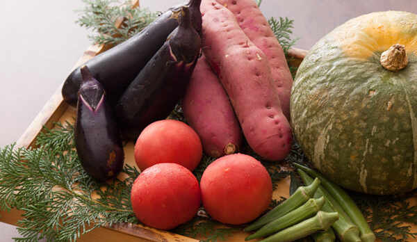 新鮮獲れたて地元の野菜