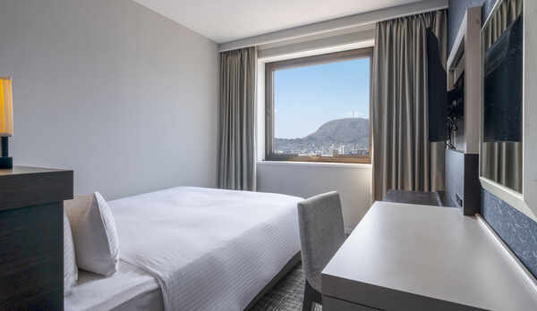 【スタンダードルーム】ダブル＜18平米＞