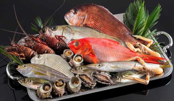 相模湾の新鮮魚介をふんだんに使用