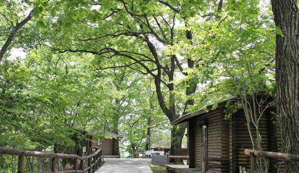 一部コテージエリア