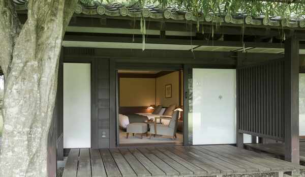 庭園からの藤殿