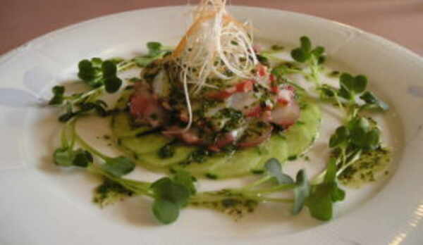 ある日のオードブル〔一例）