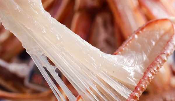 新鮮な身　活松葉かに