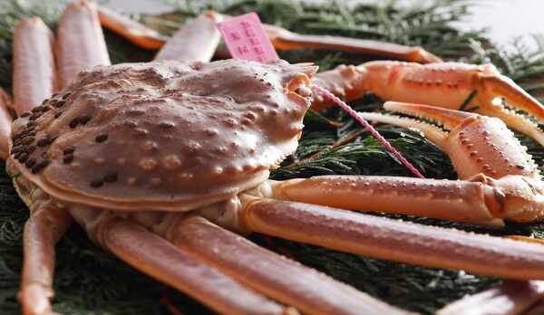 タグ付蟹　イメージ