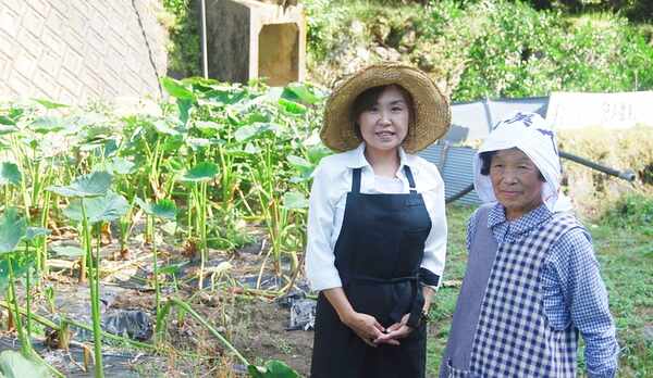 *【自家栽培の畑】当館のお食事に使う野菜は自家製♪真心こめて育てています♪