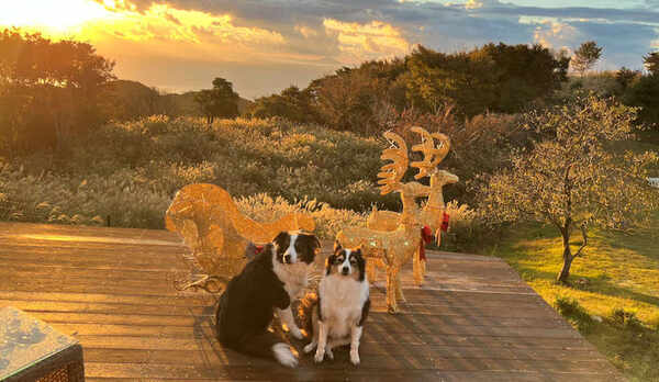 もうすぐクリスマス