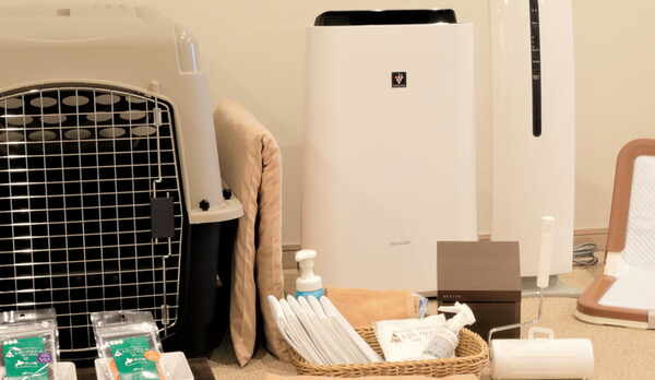 【愛犬用アメニティ】手ぶらでいらっしゃってもOKなほど、愛犬用アメニティが充実