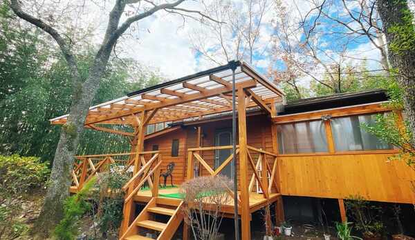 ★2022年リニューアル【桜草／外観】