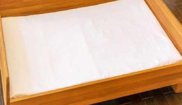 【わんヴィレッジ】ワンちゃんベッドをご用意（客室一例）