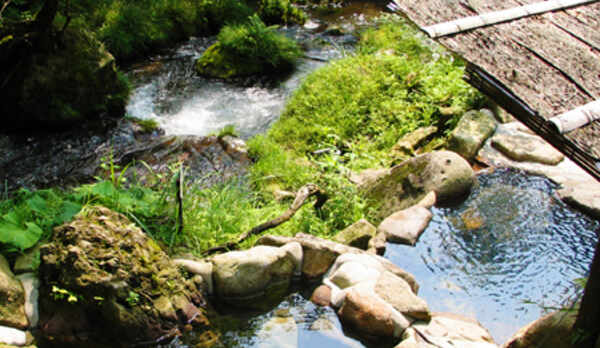 またたび露天風呂