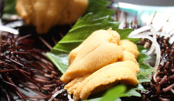 獲れたての≪ウニ≫！食べて頂ければ新鮮さの違いが分かりますよ！