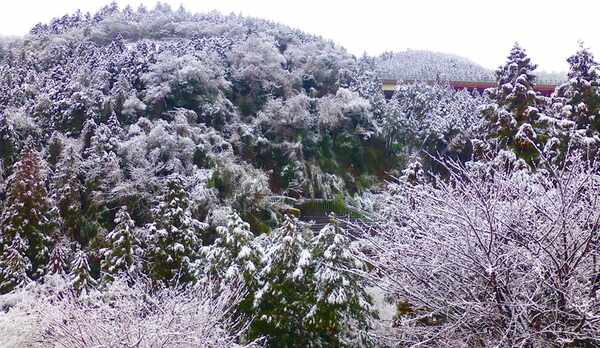 *【お部屋からの景色／冬】雪が降ると水墨画のような景色をご覧いただけます。