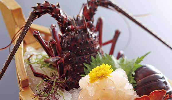 *【夕食一例】伊勢海老のお造り