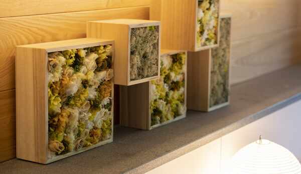 温泉露天風呂付スーペリア限定/オリジナルアートワーク プリザーブドフラワーやモス（苔）をアレンジ