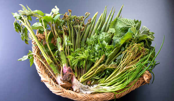 山菜盛り合わせ