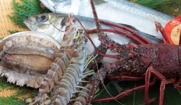 上質を知る人へ—食材イメージ−