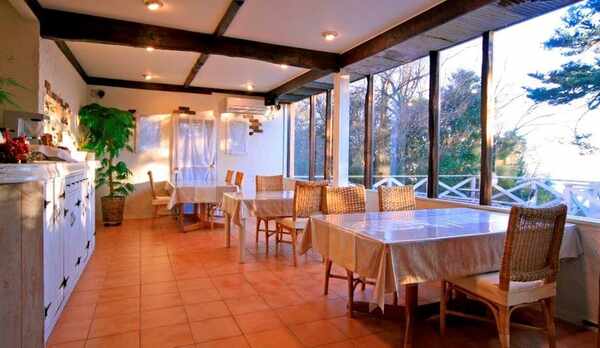 お食事もワンちゃんとダイニングで