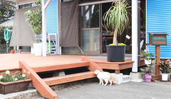 【サーフショップ】★ＯＲＩＧＩＮ★