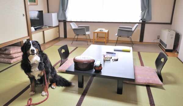 ペット同伴専用和室