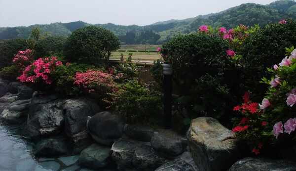 露天のつつじ