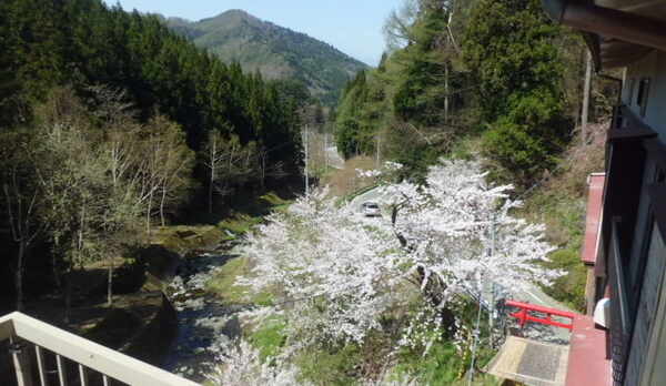 不動湯客室からの渓谷