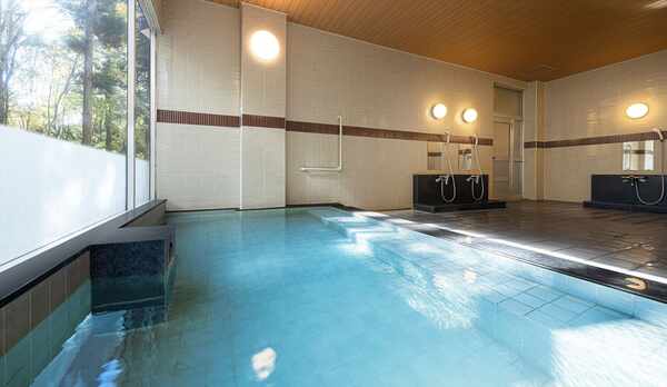 元箱根温泉〜カルシウム・マグネシウム・ナトリウム硫酸塩泉・炭酸水素塩泉