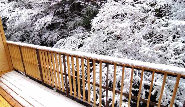雪の川床デッキ