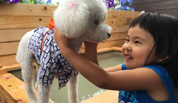 わぁかわいい！