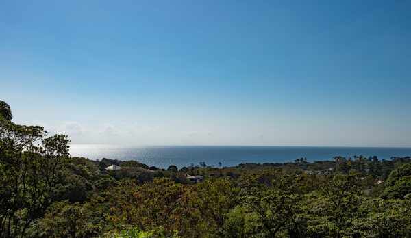 海のリゾートをお楽しみください。