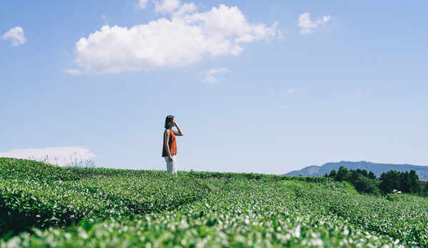 まちあるき_大茶園