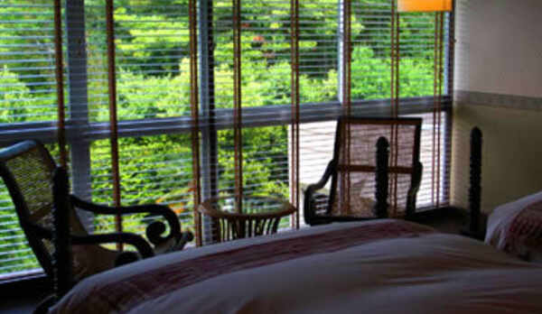 デラックスツイン