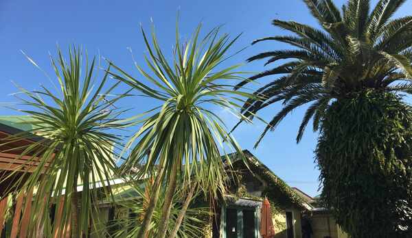 テラスからの眺め