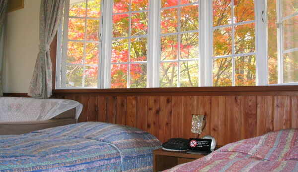客室紅葉