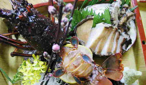 別注・伊勢海老・アワビ