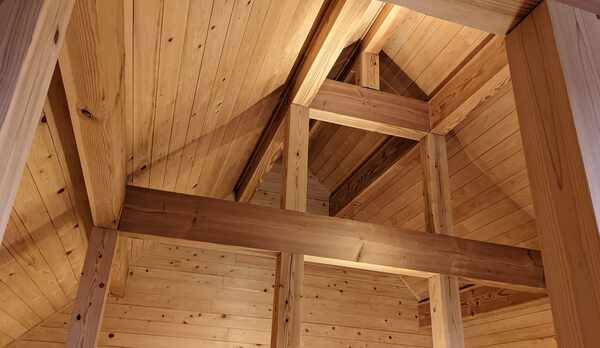 コテージB棟天井