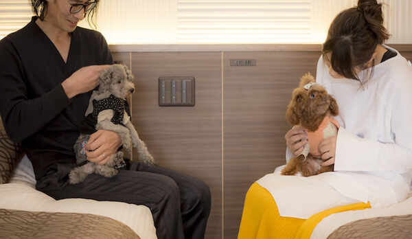 愛犬とお部屋で寛ぐ3