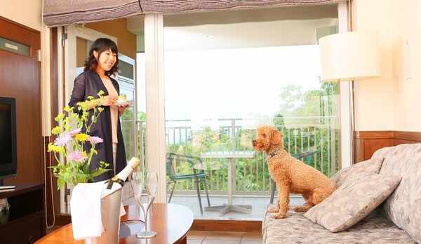 ■アネックス　テラスと半露天が付いた一番広いお部屋