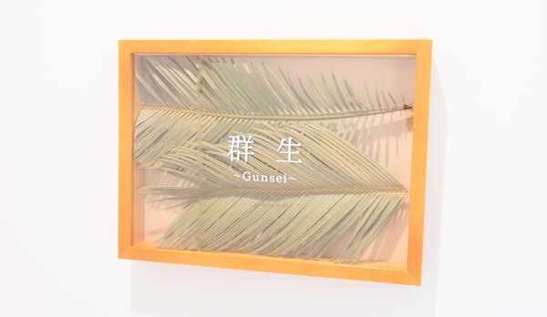 【本館_客室A】群生~gunsei~