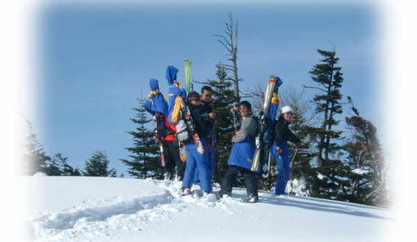 グループプラン