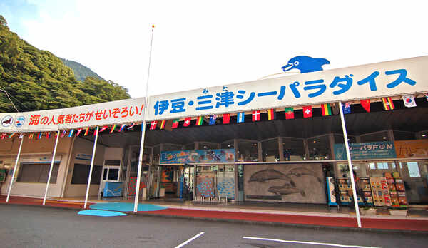【周辺観光】伊豆・三津シーパラダイスは松濤館のすぐ隣です。