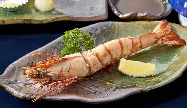 足赤エビプラン