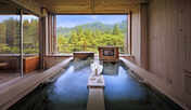 【半露天寝湯付和室】