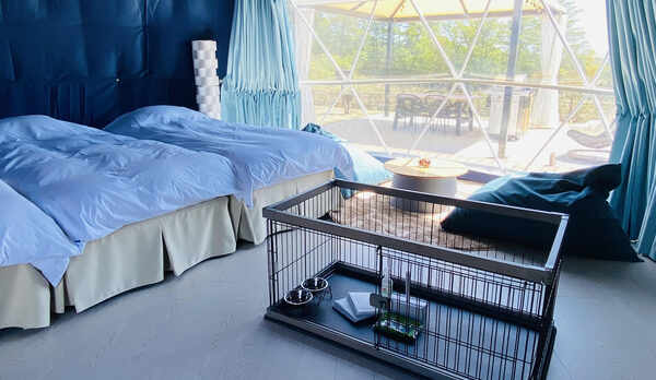 【ペット可】ドームテント内３名使用