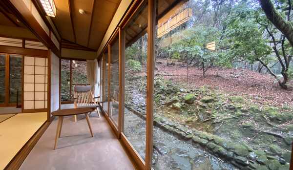 若葉からの景色