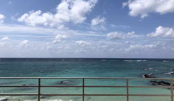 テラスからの眺め