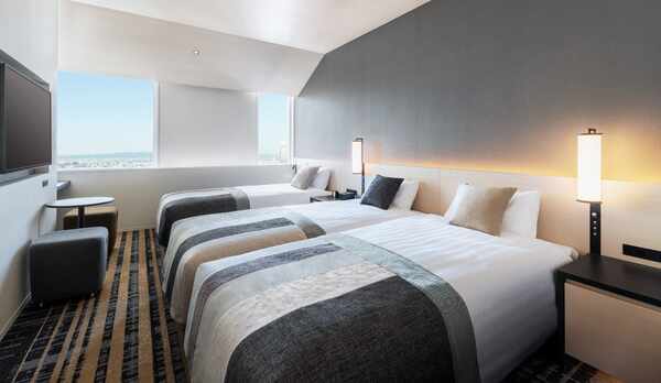 【12〜29階】デラックストリプル（33.0平米）