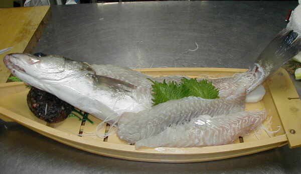 スズキ活き造り